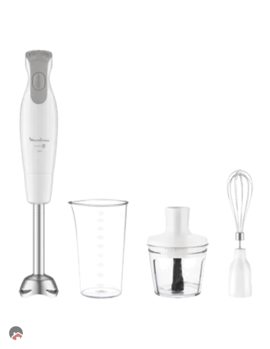 DD553110 MIXEUR A BRAS MOULINEX DAILY CHEF + 2 ACCESSOIRES - 0