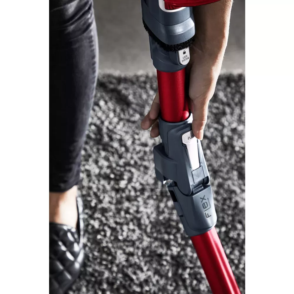 RH9679WO Aspirateur Balai Rowenta XForce Flex 8.60 Animal - 9