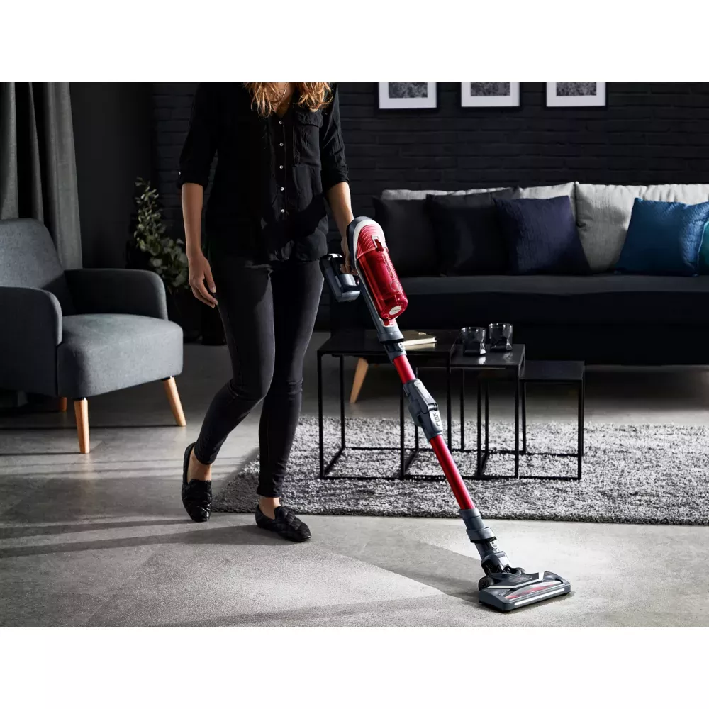 RH9679WO Aspirateur Balai Rowenta XForce Flex 8.60 Animal - 8
