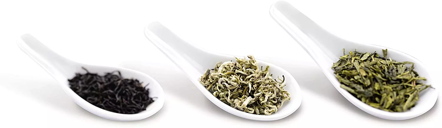 BJ1100FR THEIERE ELECTRIQUE TEFAL MAGIC TEA SANS FIL 1L - 5