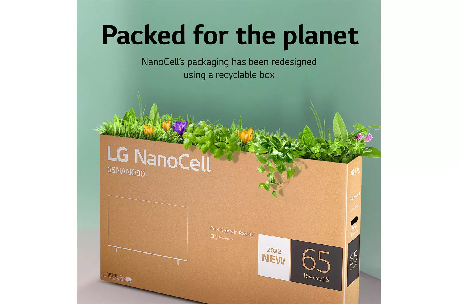 75NANO796QA TELEVISEUR LG 75 NANOCELL UHD 2022 - 7