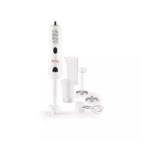 Mixeur Plongeant Moulinex Multifonction 5 en 1
