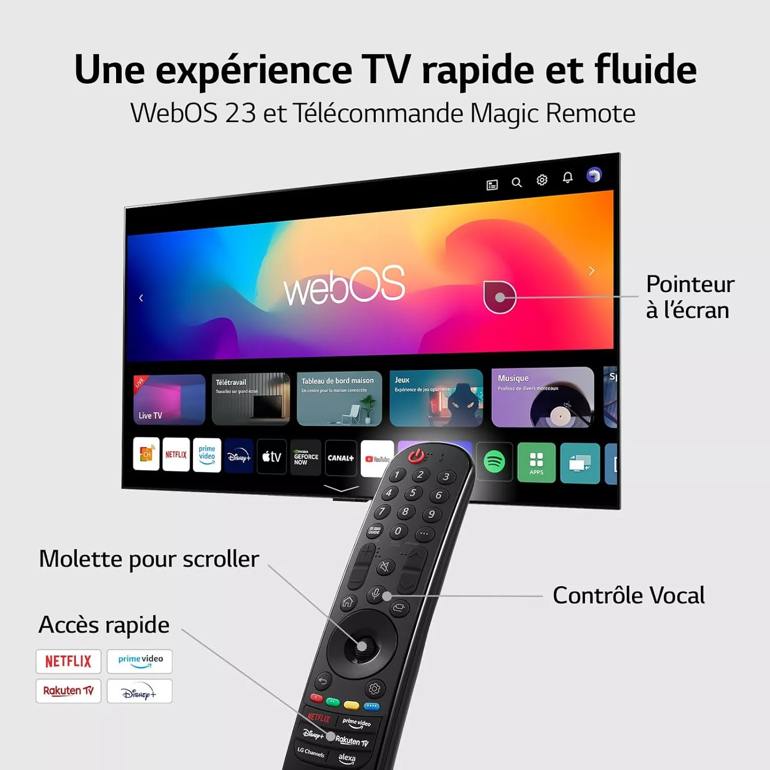 65QNED816RE TELEVISEUR LG QNED 65 SMART 4 K - 10