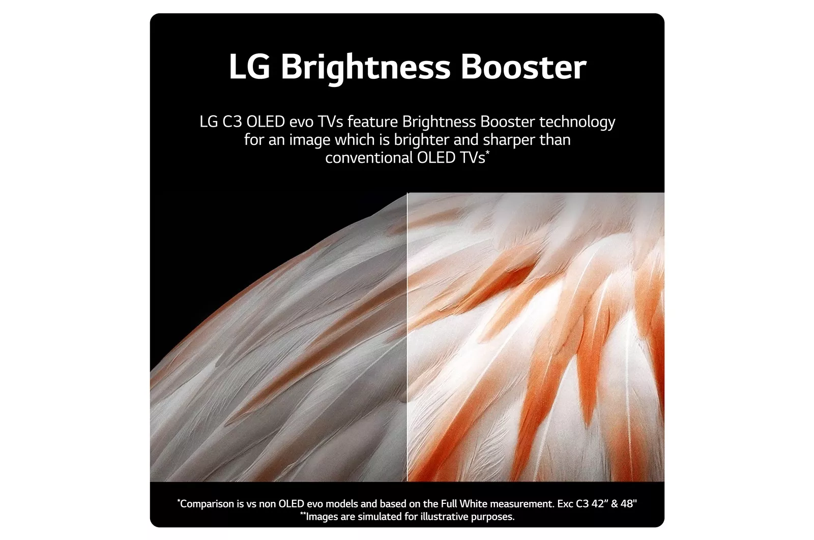 OLED65C36LC TELEVISEUR LG 65 OLED Smart 4K 2023 - 5