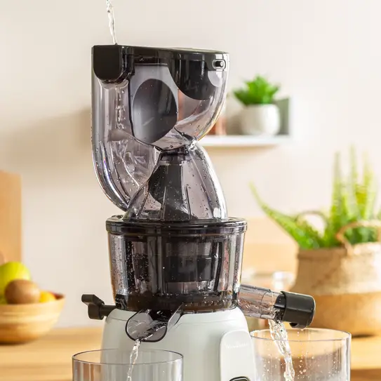 ZU600110 extracteurs moulinex ultra juice slow juicer ULTRA - 5