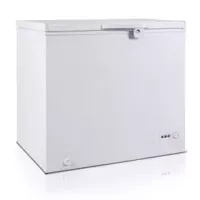 CONGELATEUR ARCODYM 320L BLANC