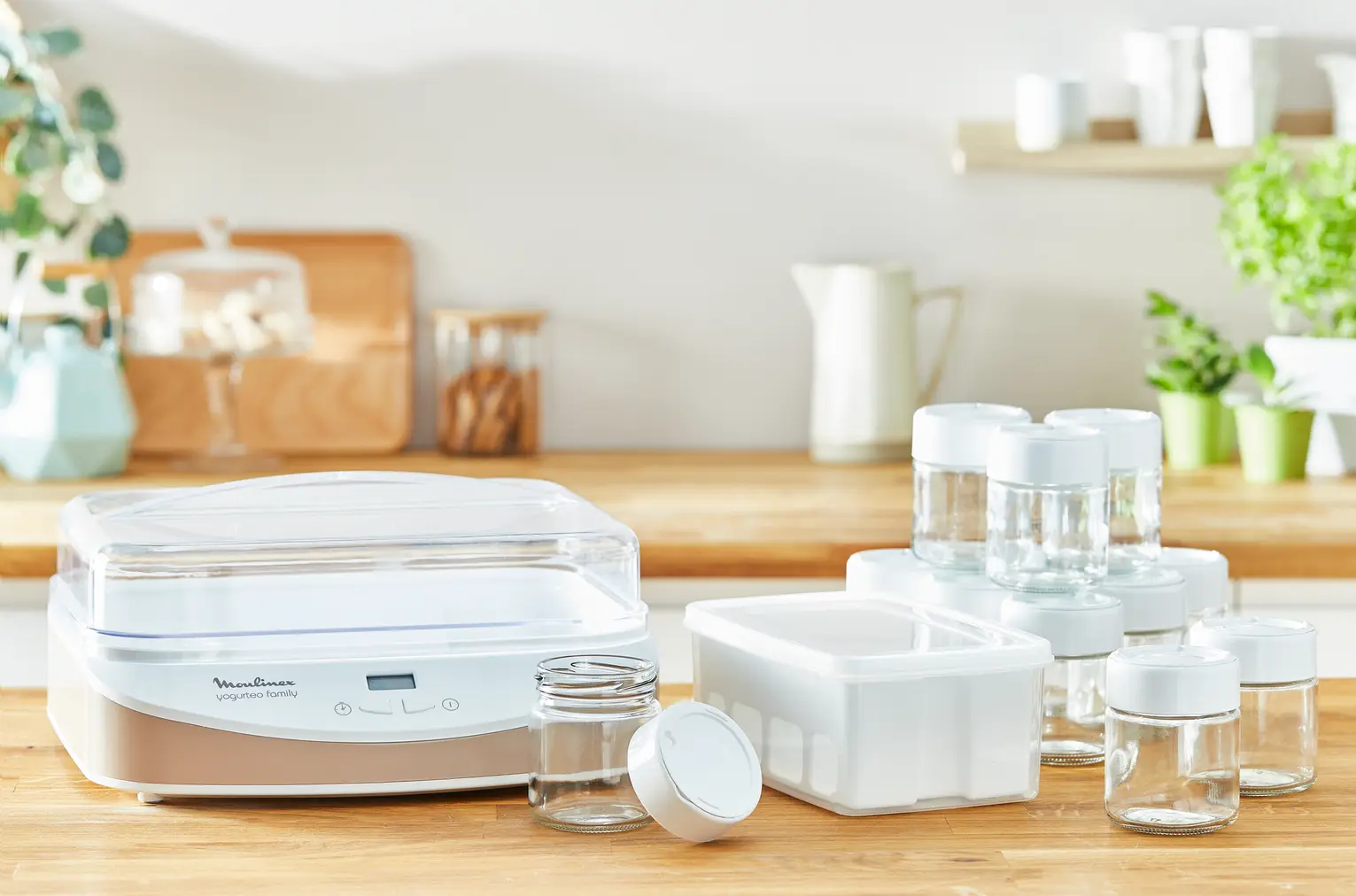 YG233A10 Yaourtiere Moulinex Blanc Yogurteo Family 12 pots - 6