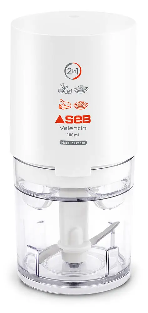 855306 Mini Hachoir SEB Valentin 2en1 FR 220W - 0