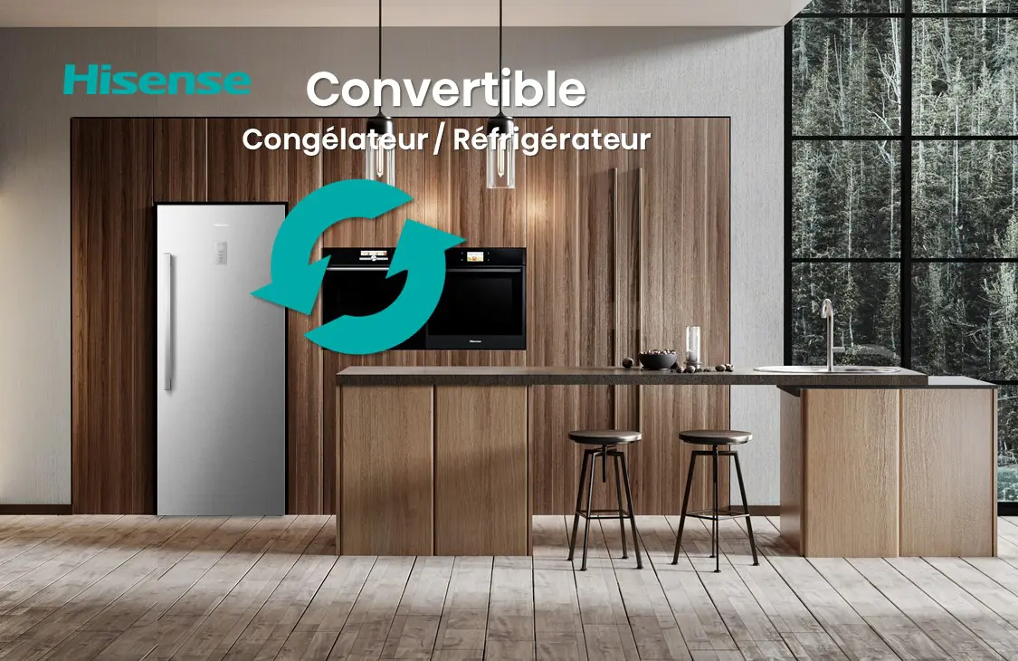FT3N390NAIE Congélateur convertible REF Hisense 385L Inox - 5