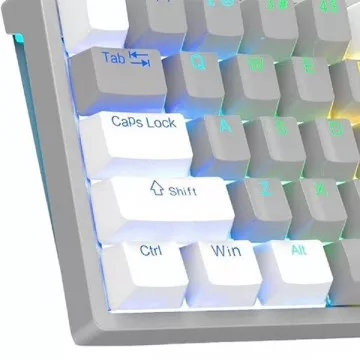 1686_CLAVI CLAVIER MAGMA FIORA SWITCH 3 BLUETOOTH 2.4G - 1