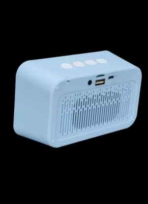 690_Haut- Haut-parleur Bluetooth sans fil DM0022 - 2