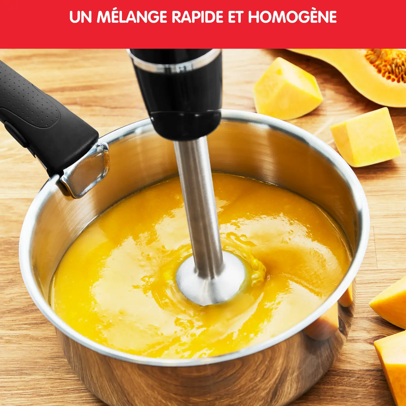 DD94L810 Bras Mixeur Moulinex Infiny force XL 5en1 - 5