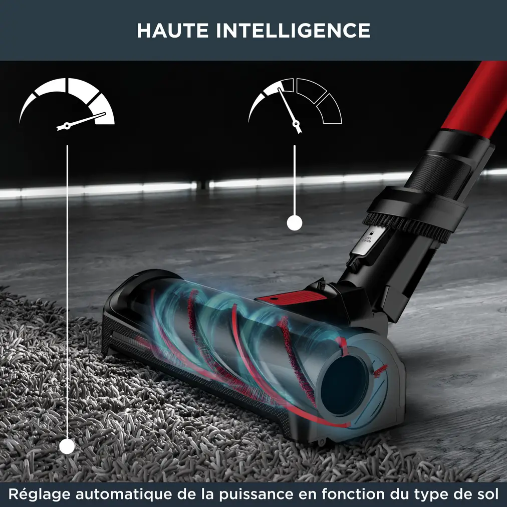 RH98A9WO Aspirateur Rowenta X-Force Flex 12.60 Kit Animal - 3