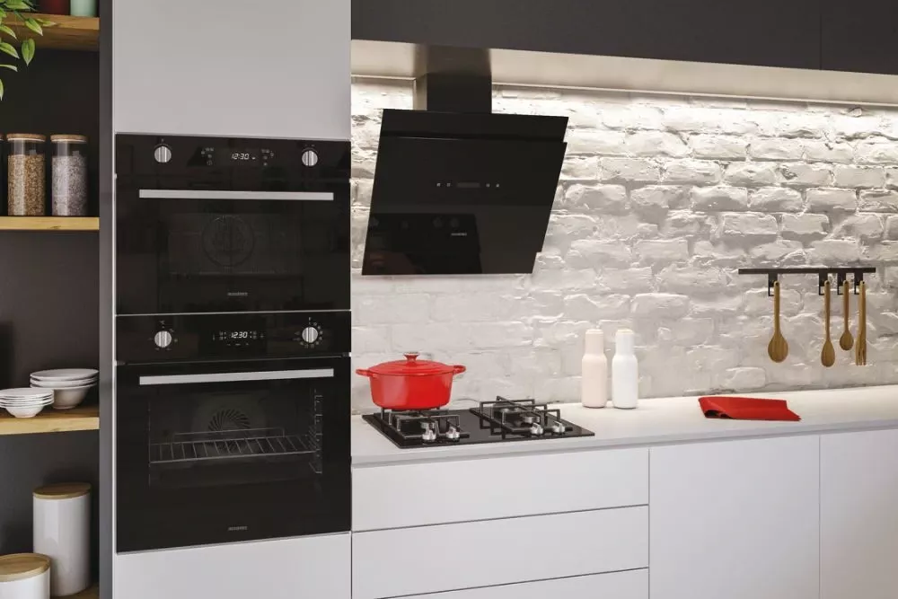 RDG6DCK3B HOTTR ROSIERE INCLINEE DECORATIF 60CM Verre Noir - 2