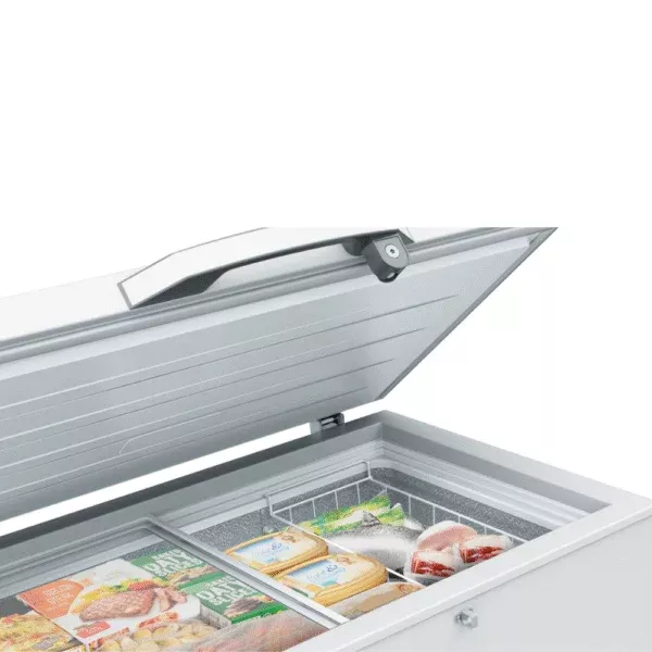 FC-40DT4SAW1 Congélateur Hisense Horizontal Convertible 286L - 2