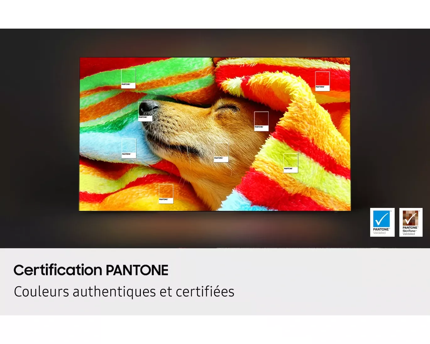 TQ77S85FAE TELEVISEUR SAMSUNG OLED  77 4K SMART AI 2025 - 10