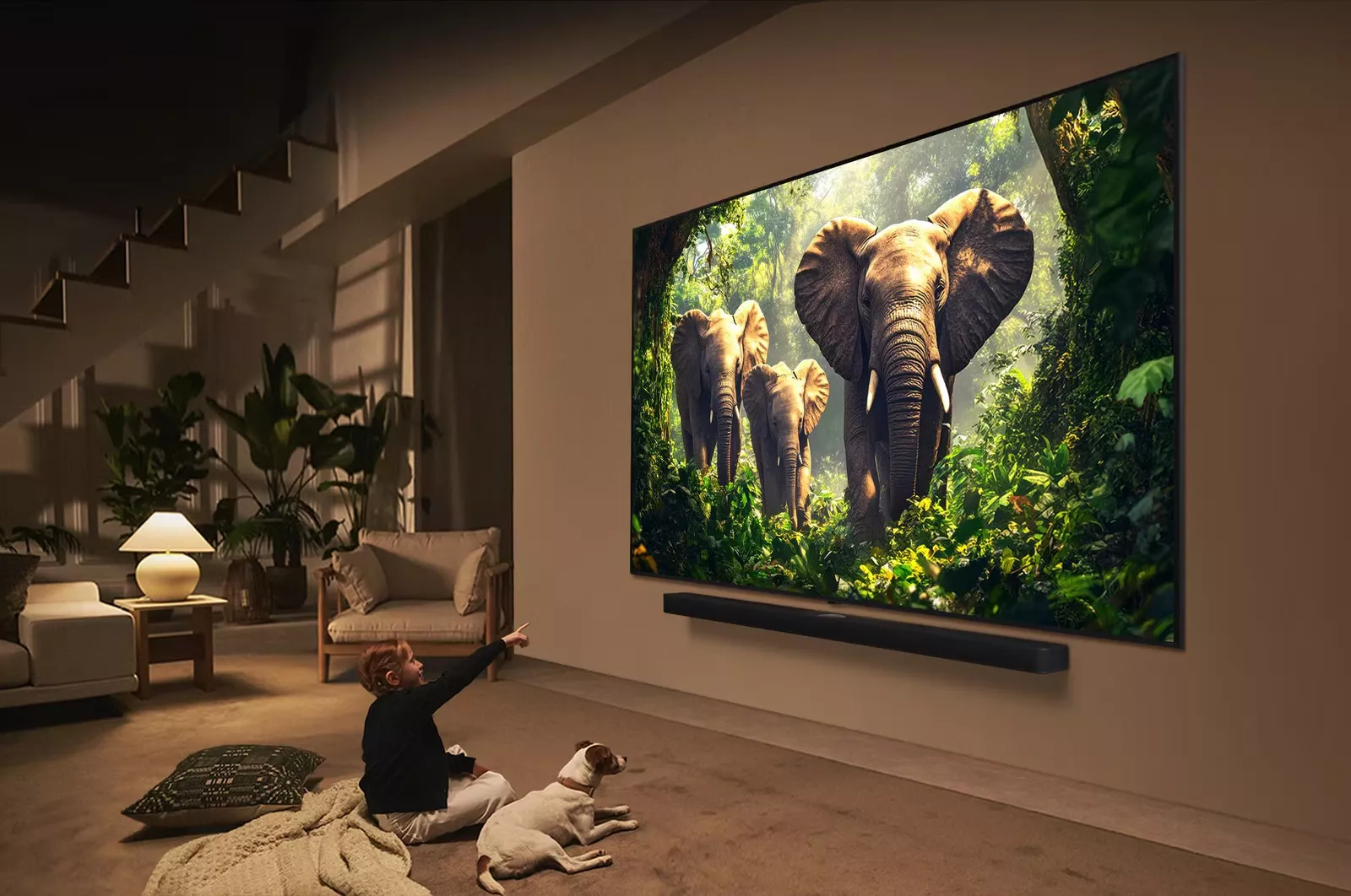 65QNED86A6A téléviseur LG QNED Evo 65” 4K Mini LED 120Hz A8 AI - 14