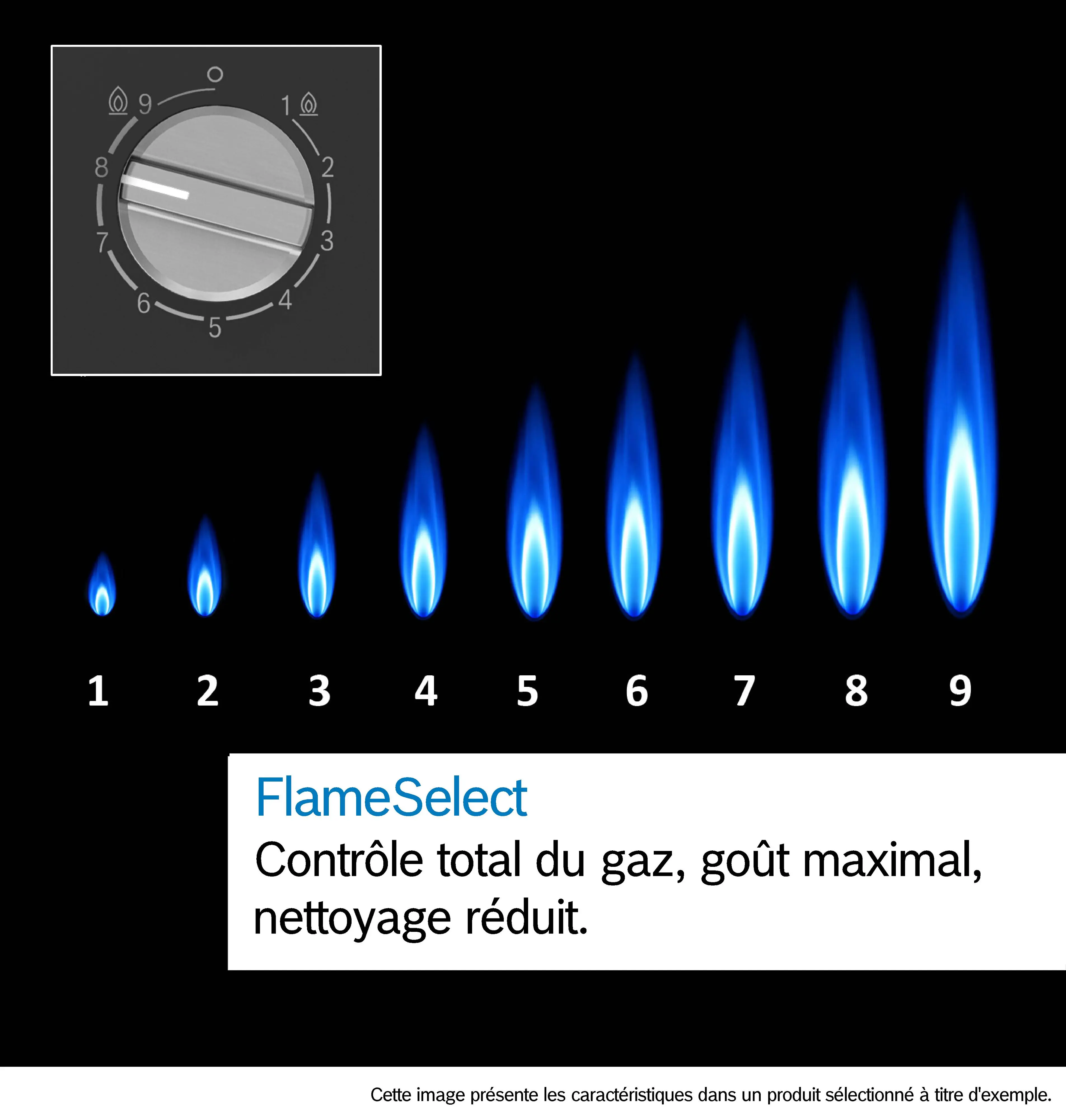 PPP6A6I40 Plaque de cuisson 60 cm Bosch Série 6 Gaz Verre - 5