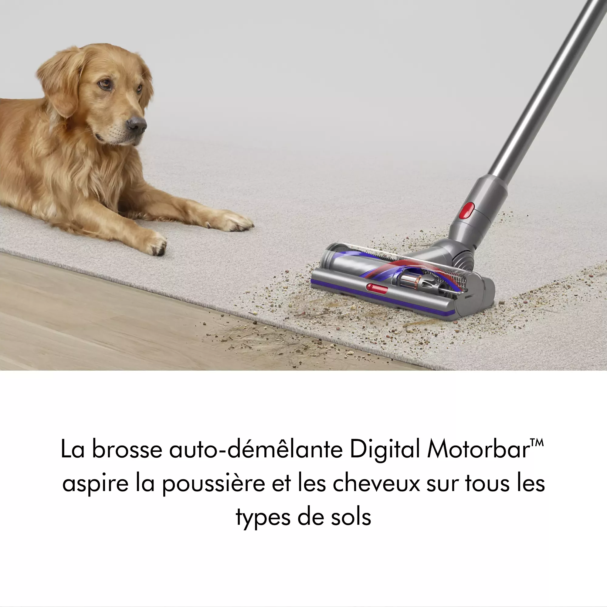 V15S DA Aspirateur balai DYSON V15 Detect™ Absolute - 2
